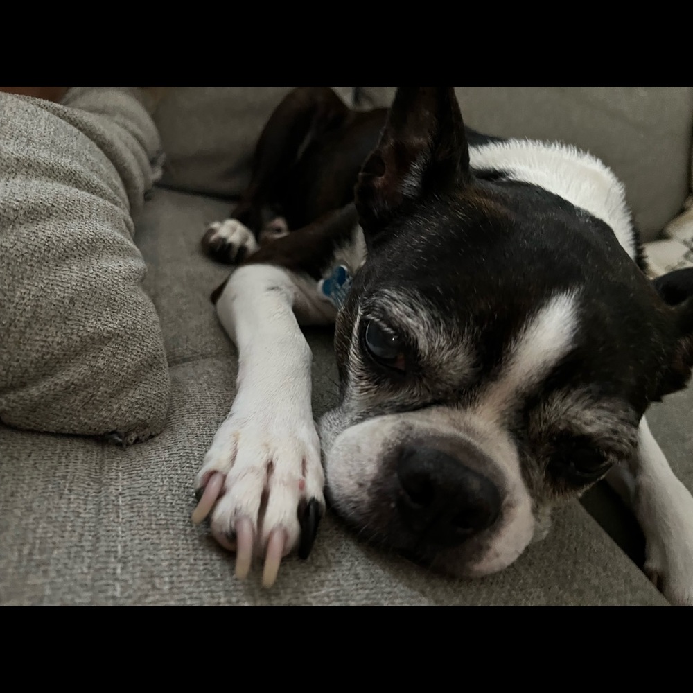 Meet your Posher, Faith